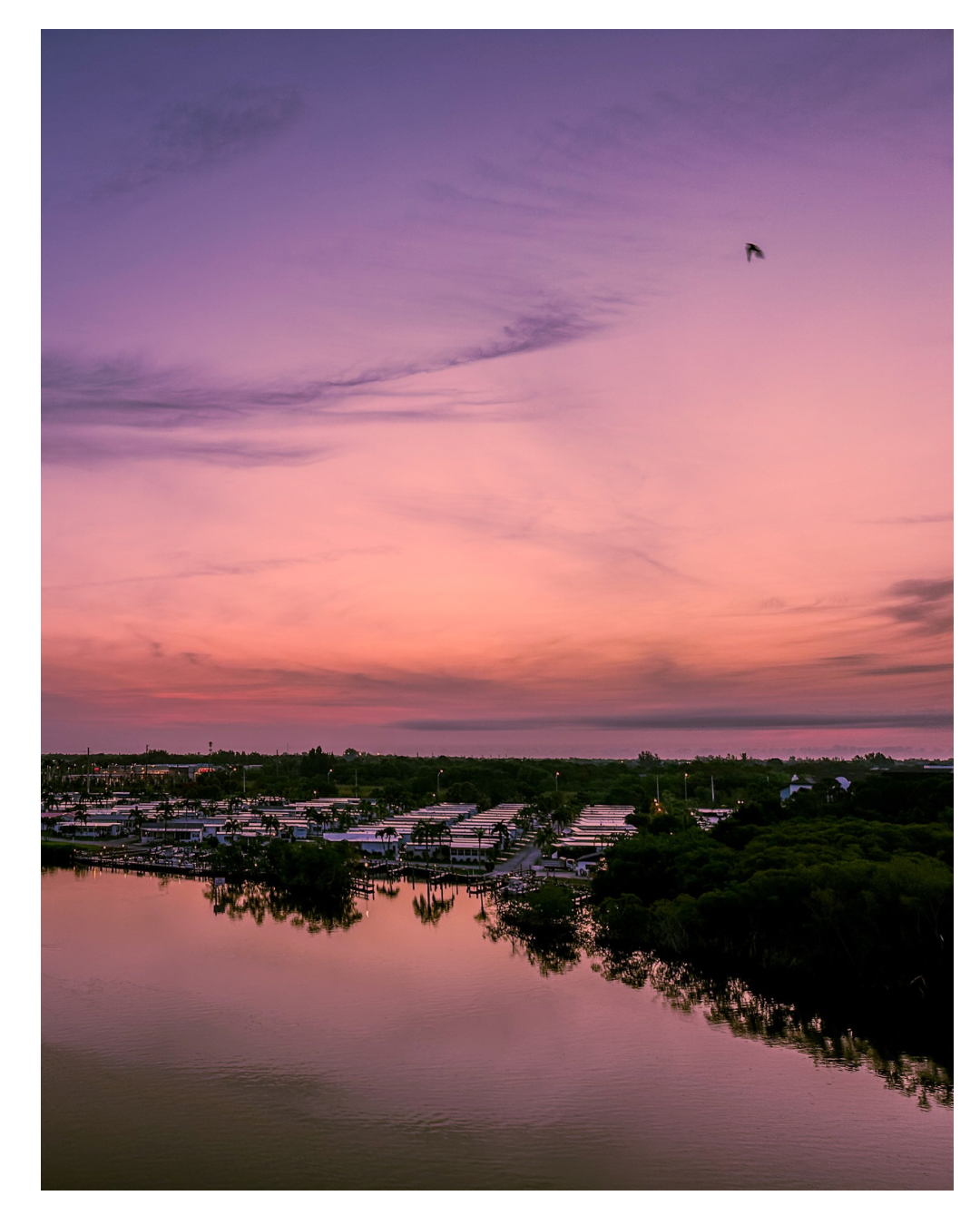 Summer Sunsets Collection