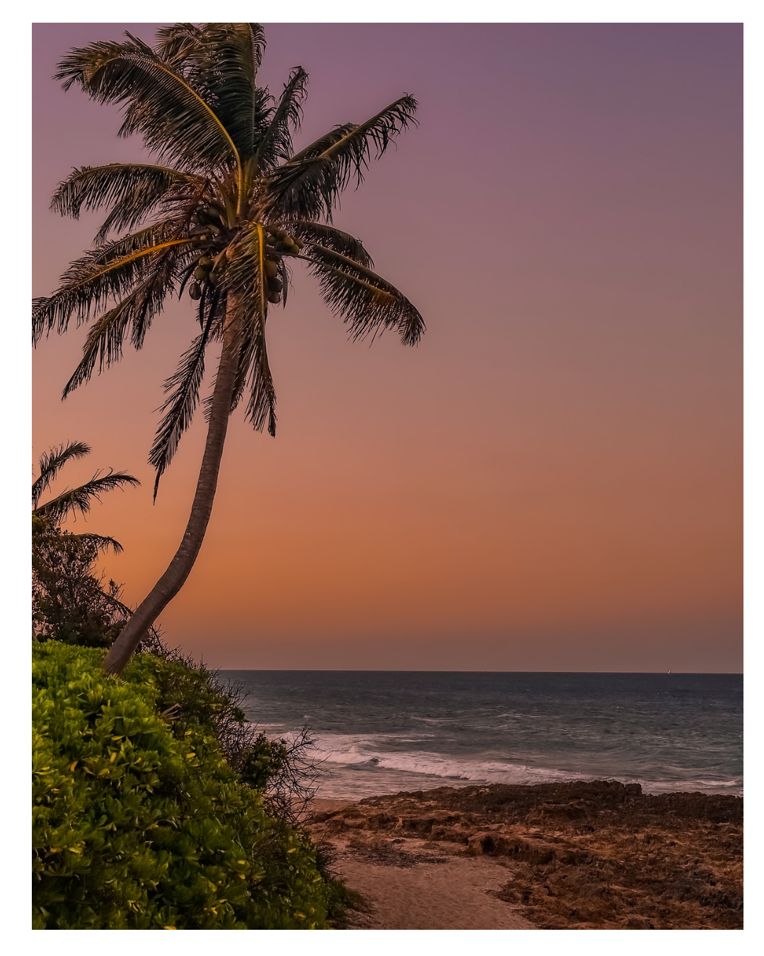 Summer Sunsets Collection