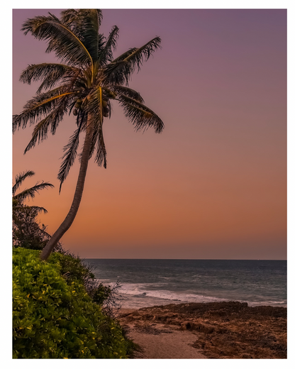 Summer Sunsets Collection