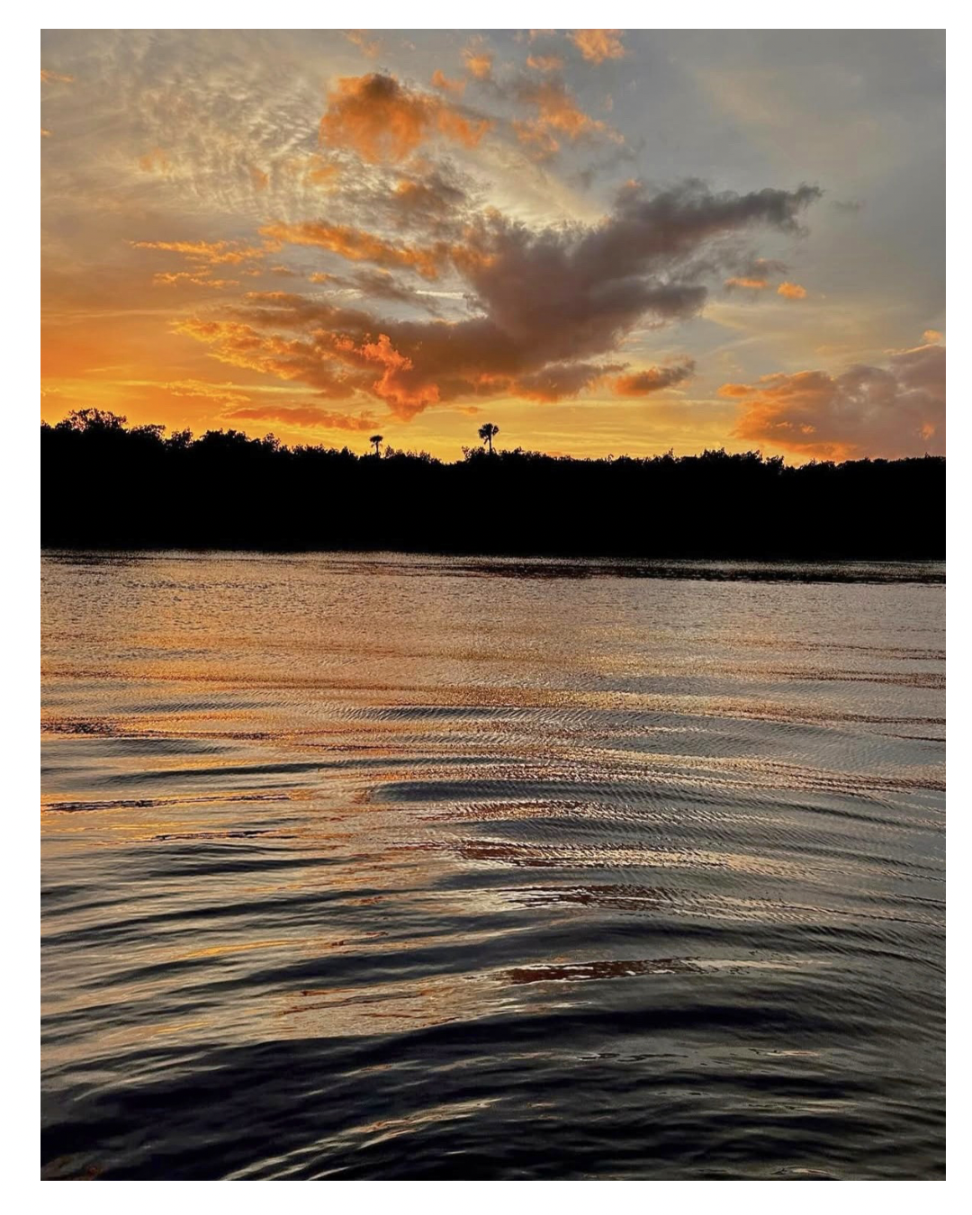 Summer Sunsets Collection