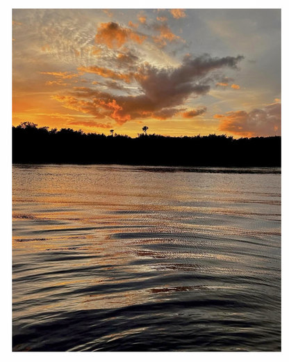 Summer Sunsets Collection